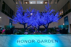 UMC Honor Garden